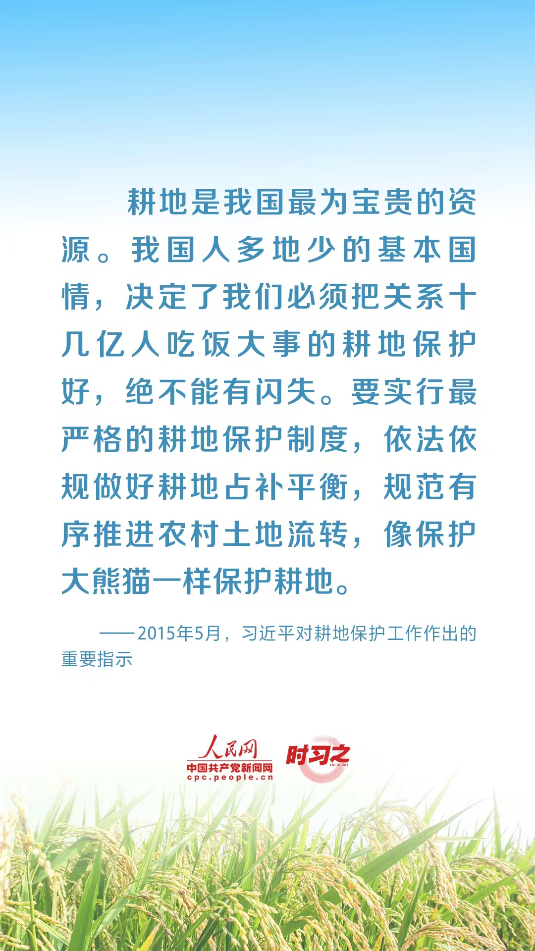 全方位夯实粮食安全根基 习近平强调切实加强耕地保护